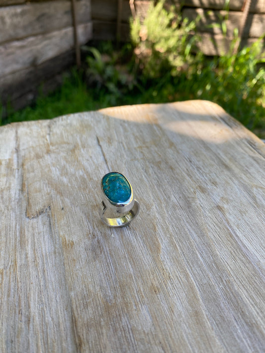 Carico Lake Minimal Ring (Size 6.5)